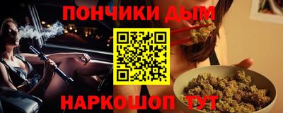 крисы Пенза