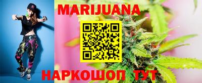 крисы Пенза