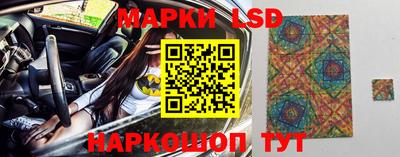 крисы Пенза