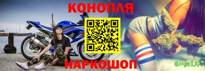крисы Пенза