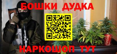 крисы Пенза