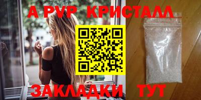крисы Пенза