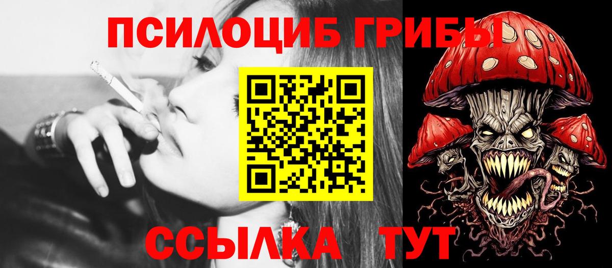 Галлюциногенные грибы прущие грибы Северск